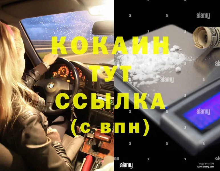 Cocaine Fish Scale  Благодарный 